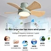 Smart ceiling fan 5 blades Fanplus