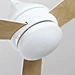 Morden Ceiling Fans light Fanplus