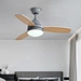 Indoor Ceiling Fan Light small size Fanplus