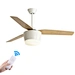 High brightness Ceiling Fan Light Fanplus