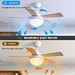 Ceiling Fan standard brand ceiling fan Fanplus