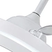 Ceiling Fan Light