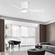 Decoration Home ABS Blade BLDC Ceiling Fan light Fanplus