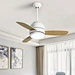Ceiling Fan ceiling fan distributor Fanplus