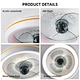 Ceiling Fan Light