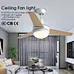 Ceiling fan abs hockey Fanplus