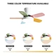 Ceiling fan winter summer fan Fanplus