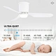 Decoration Home ABS Blade BLDC Ceiling Fan light Fanplus