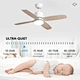 Ceiling Fan ceiling fan top 10 company Fanplus