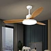 Ceiling fan abs blades Fanplus