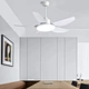 42inch Ceiling Fan