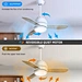 Ceiling Fan ceiling fan distributor Fanplus