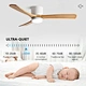 Ceiling Fan hunter fan support Fanplus