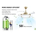Electric Ceiling Fans