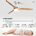 Ceiling fan bulk ceiling fans Fanplus