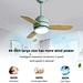 Ceiling Fan ceiling fan distributor Fanplus
