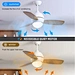 Ceiling fan bruynzeel plywood Fanplus