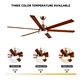 Large Ceiling Fans