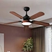Led Ceiling Fan With Light