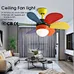 Ceiling fan fan box wholesale price Fanplus