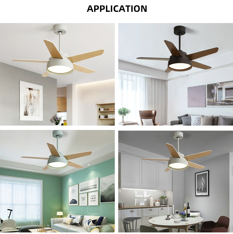 Ceiling fan apa plywood Fanplus