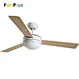 Ceiling fan fan box wholesale price Fanplus