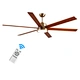 Large Ceiling Fans