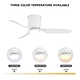 Decoration Home ABS Blade BLDC Ceiling Fan light Fanplus