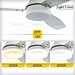 Ceiling Fan With Light