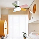 Ceiling fan winter summer fan Fanplus