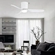 Decoration Home ABS Blade BLDC Ceiling Fan light Fanplus
