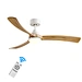 Led Ceiling Fan With Light