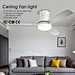 Ceiling Fan With Light