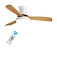 Ceiling fan solid poplar wood Fanplus