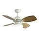 Ac Ceiling Fan With Light