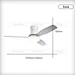 Ceiling Fan With Light