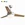 Ceiling fan abs hockey Fanplus