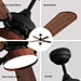 Led Ceiling Fan With Light
