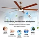 Large Ceiling Fans