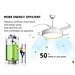 Ceiling fan cooling fan manufacturers Fanplus