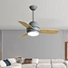 Ceiling Fan ceiling fan distributor Fanplus
