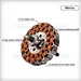 Ceiling fan abs suppliers Fanplus