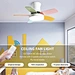 Ceiling fan winter summer fan Fanplus