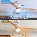 Ceiling fan bulk ceiling fans Fanplus