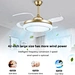 Electric Ceiling Fans
