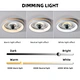 Ceiling Fan Light
