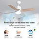 Ceiling Fan ceiling fan top 10 company Fanplus