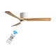 Ceiling Fan hunter fan support Fanplus
