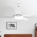 Ceiling Fan spyda fans Fanplus