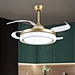 Electric Ceiling Fans